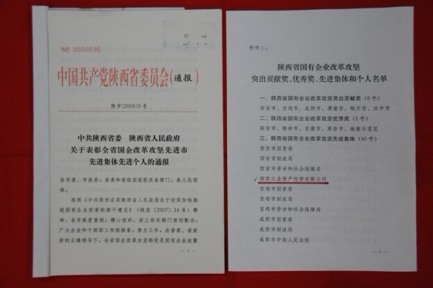 2009年2月，被陜西省委、省政府授予陜西省國有企業(yè)改革攻堅先進集體